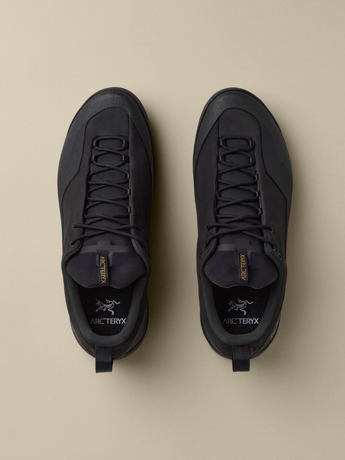 아크테릭스(ARCTERYX) [FW26] 컨실 GTX 남성