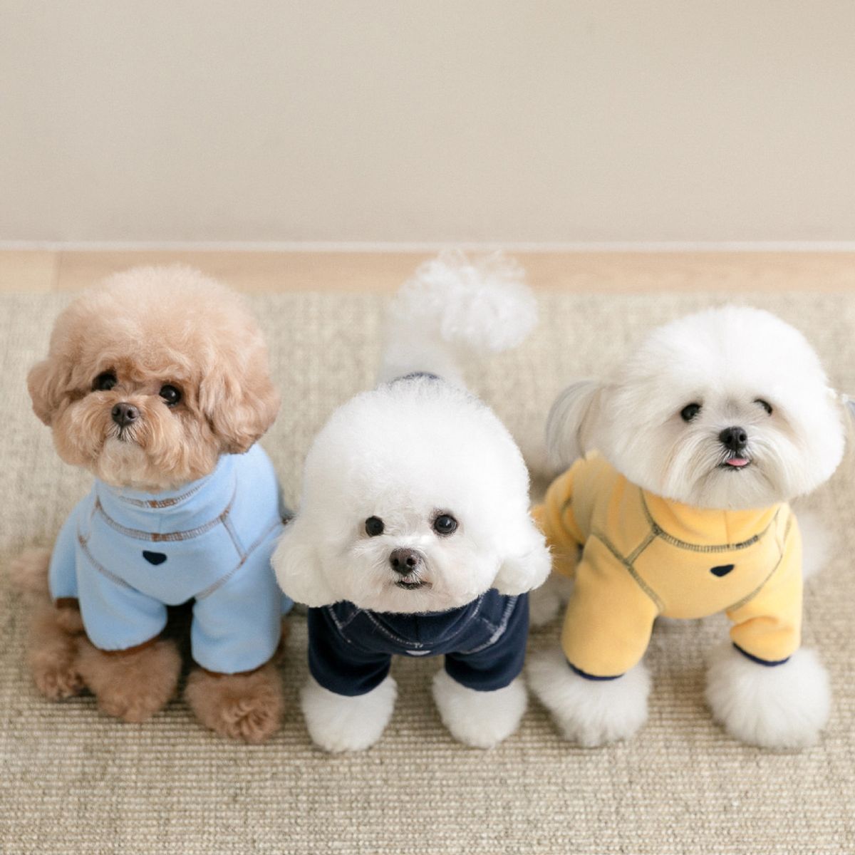 펫츠랜드(PETSLAND) 수플레 플리스 강아지 올인원 3color S-2XL