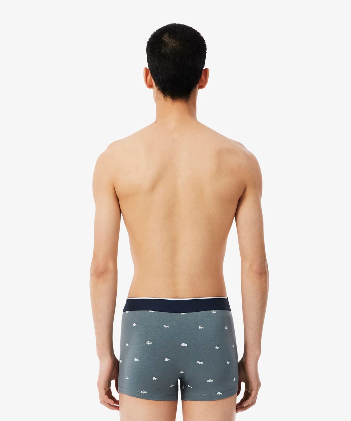 라코스테(LACOSTE) 남성 미니크록 남성 브리프 3PACK 5H1299-56N RMH