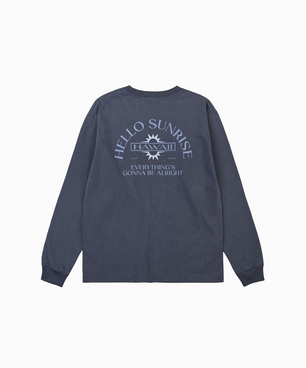 헬로 선라이즈(HELLO SUNRISE) HAWAII Arch Logo L/S Tee_VTG Navy