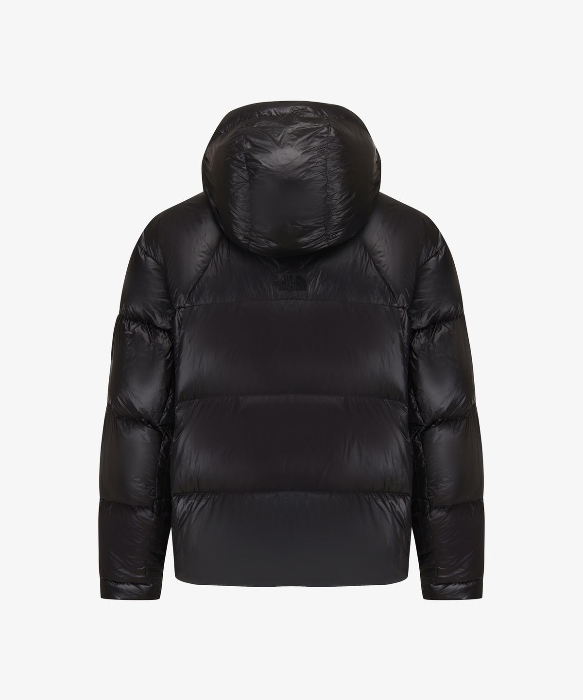 노스페이스(THE NORTH FACE) NJ1DS54N 프로젝트 다운 자켓 V2 (RDS) REAL BLACK