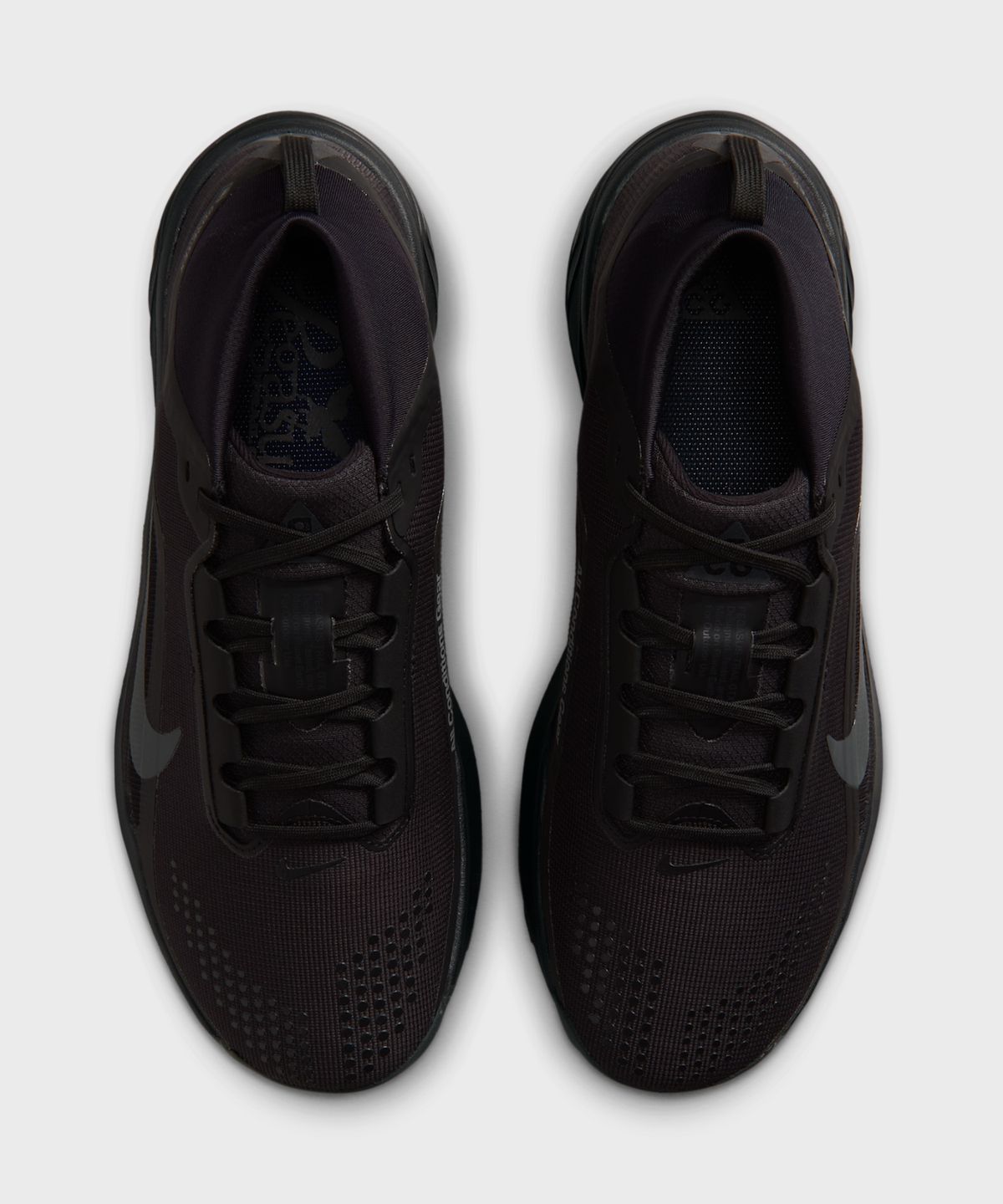 나이키(NIKE) ACG 페가수스 트레일 GORE-TEX M - 블랙:서밋 화이트:앤트러사이트 / IQ1084-002