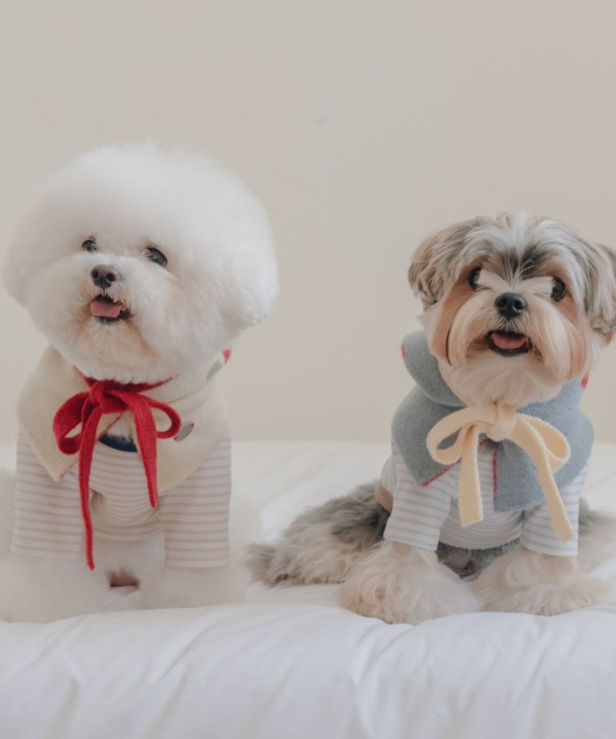 에쎕떱(SSFW) 코지 베스티 바라클라바 ver2 (2 colors)