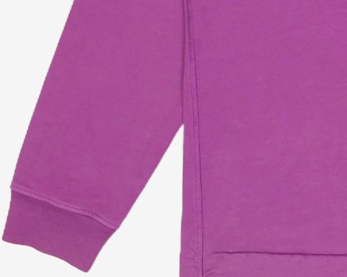 스톤아일랜드(STONE ISLAND) 맨투맨/스웨트셔츠 L