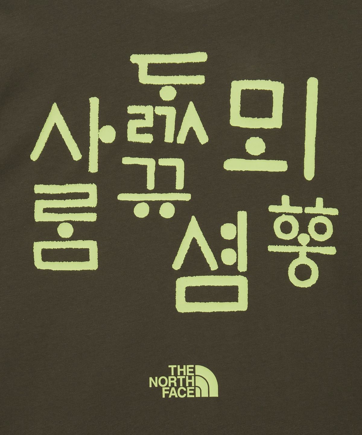 노스페이스(THE NORTH FACE) NT7UT95G 한글 반팔 티셔츠 3 DRIED HERB