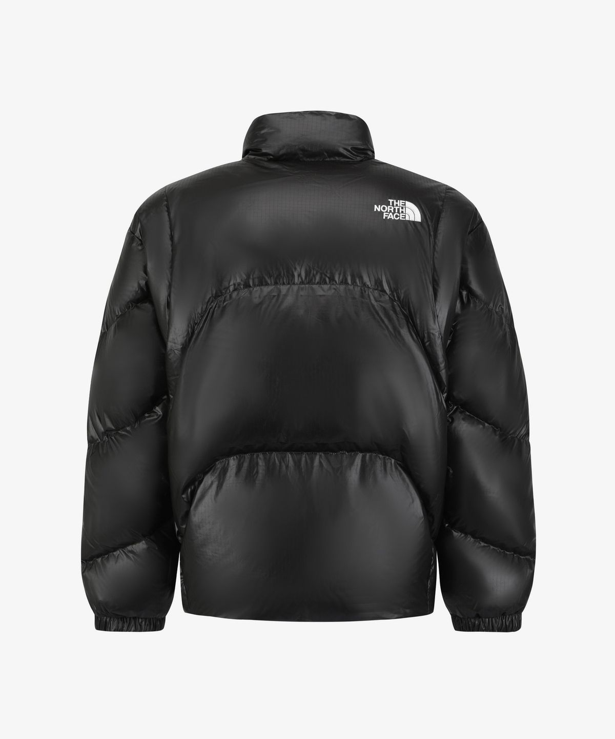노스페이스(THE NORTH FACE) NJ1DS64J 칼론 EX 다운 자켓 (RDS) BLACK