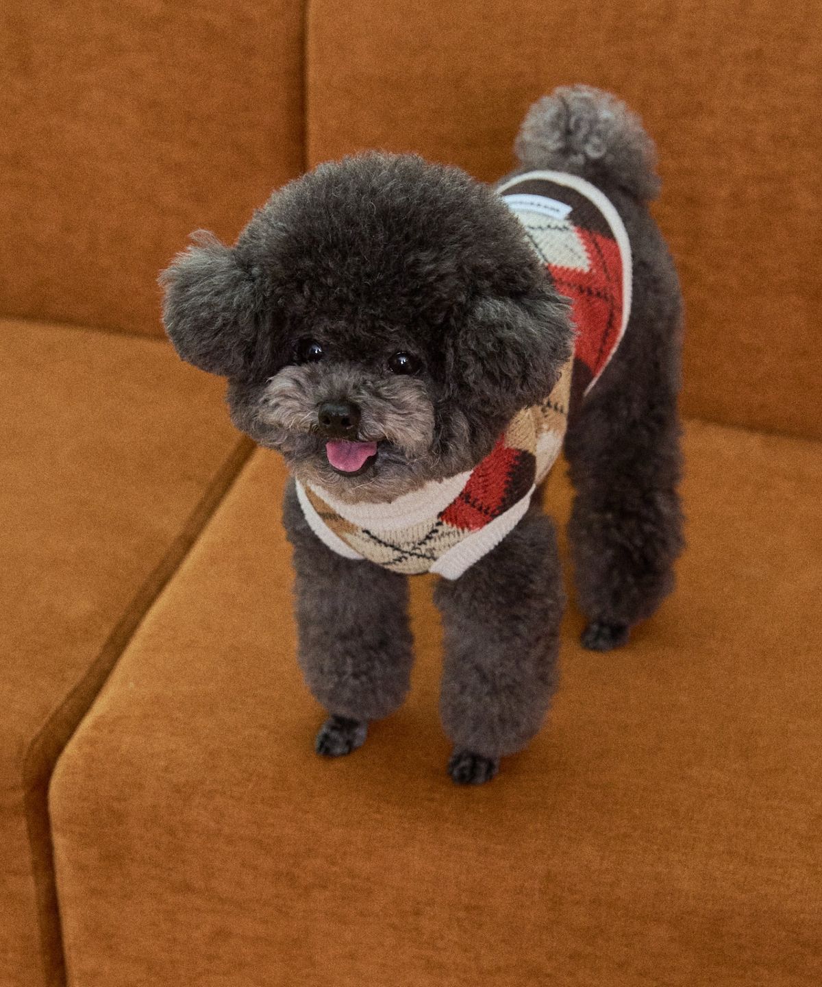 윗펍(WITPUPP) 터틀넥 패턴 니트