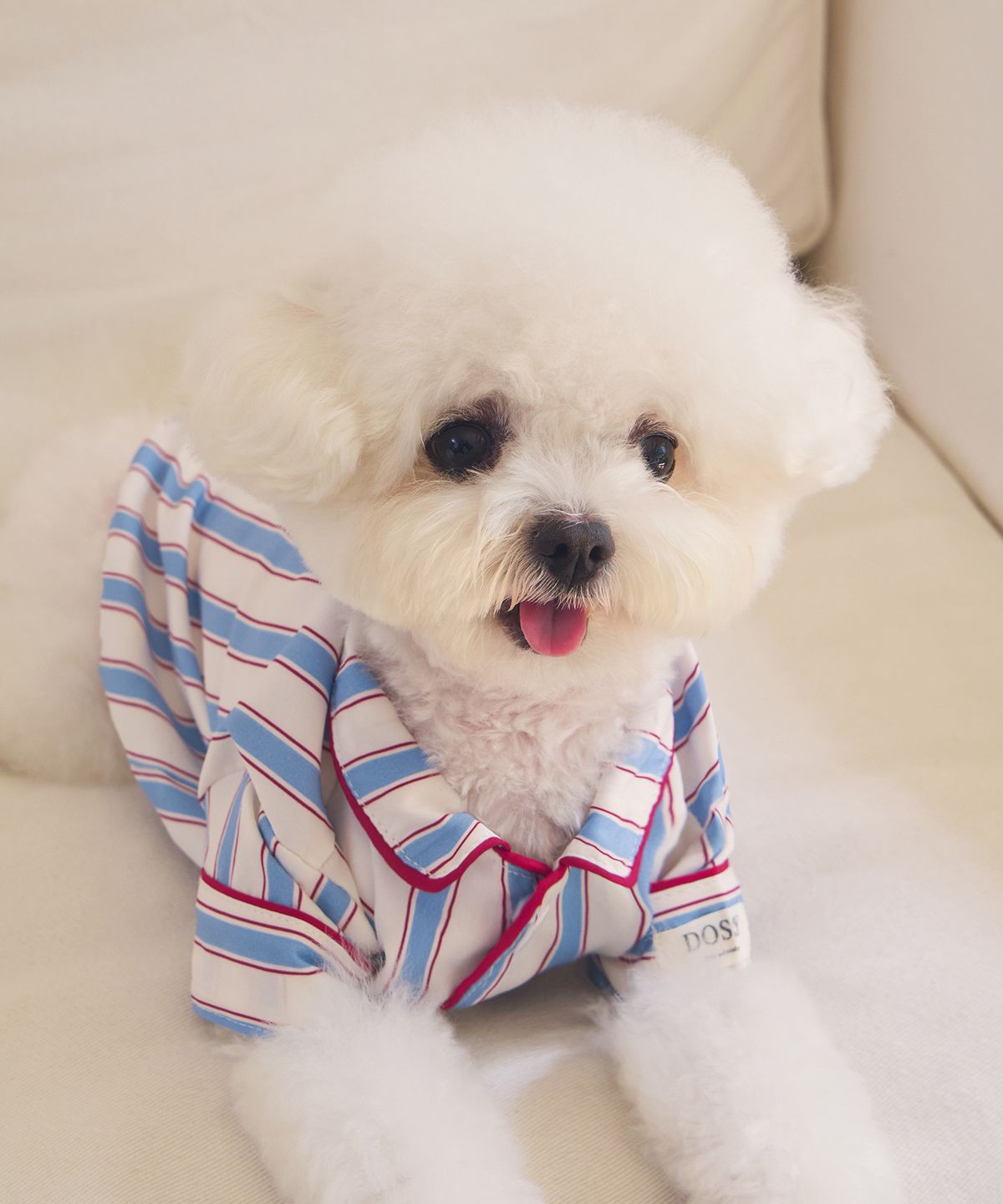 도씨(DOSSY) 실크핏 에프터 펫 잠옷