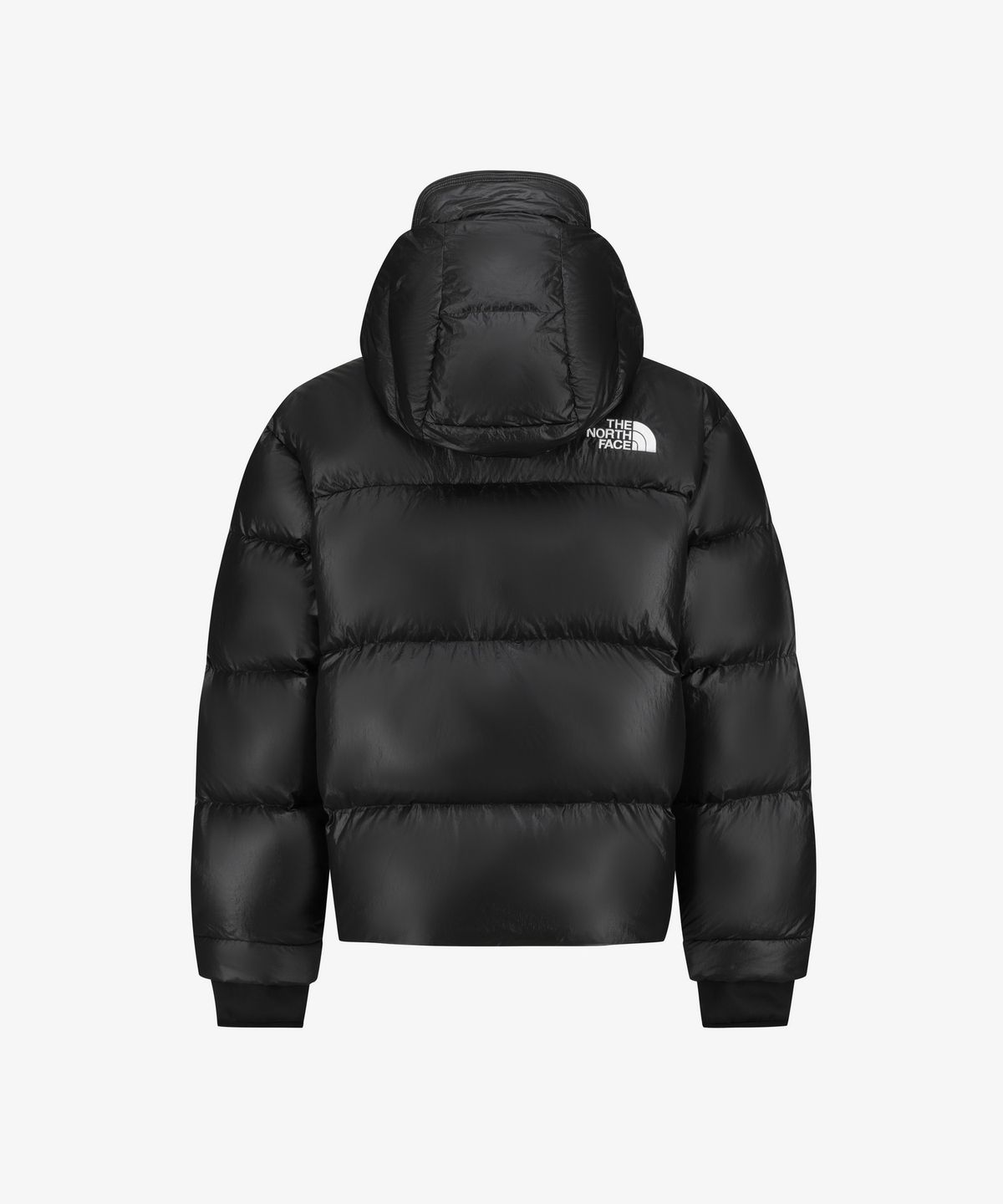 노스페이스(THE NORTH FACE) NJ1DS55J 타이론 다운 자켓 (RDS) BLACK