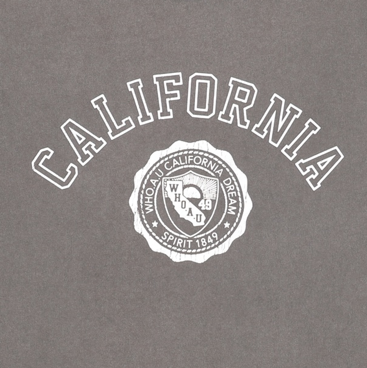 후아유(WHO.A.U) California Dyed Graphic T-shirt / WHRPG2522U XL
