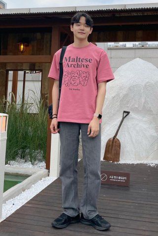 ★WAIKEI★ Maltese Archive Short Sleeve T-Shirt Light Green MUSINSA | WAI KEI Maltese Archive Line Graphic Short Sleeve
