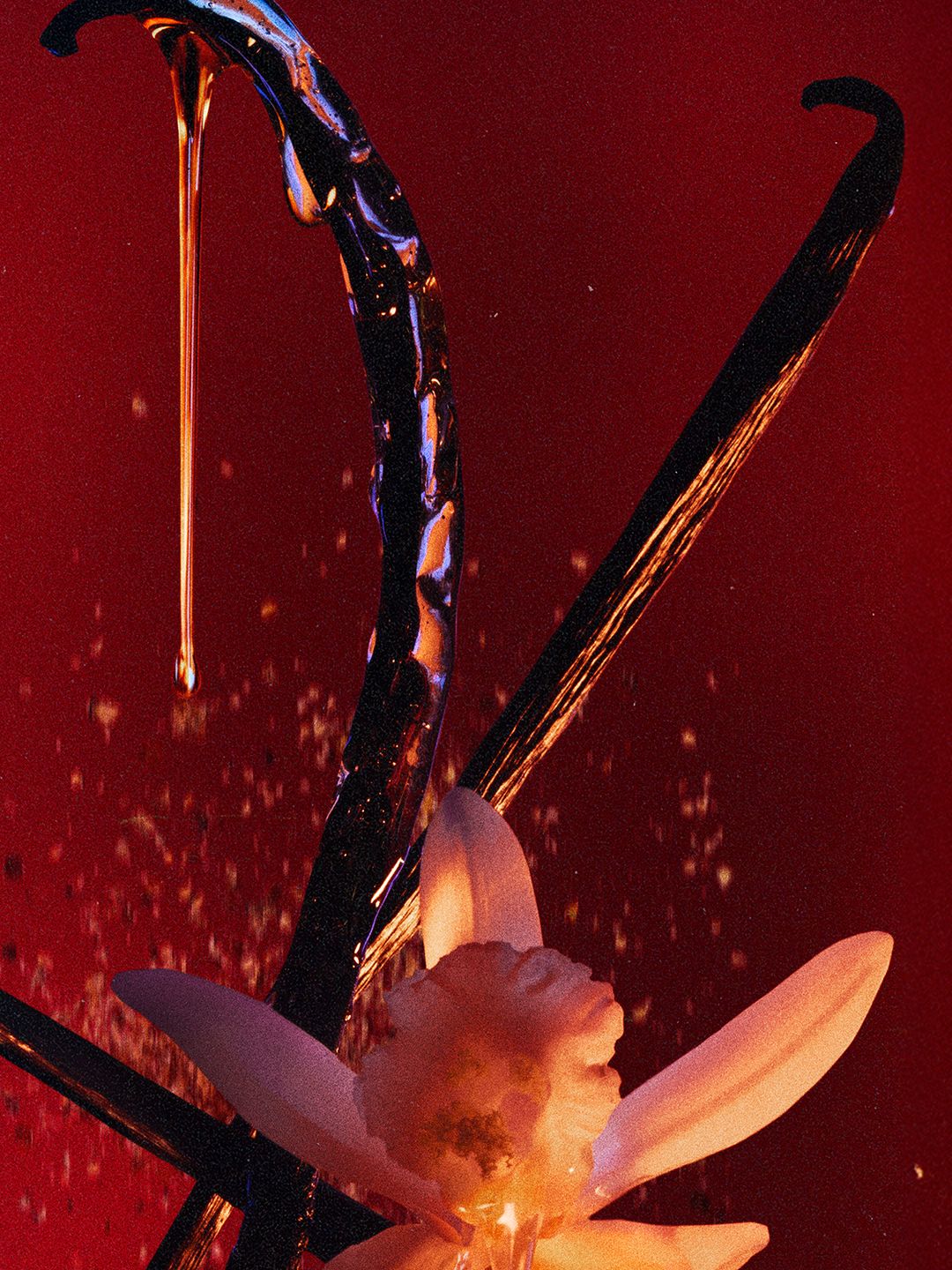 04-3.jpg
