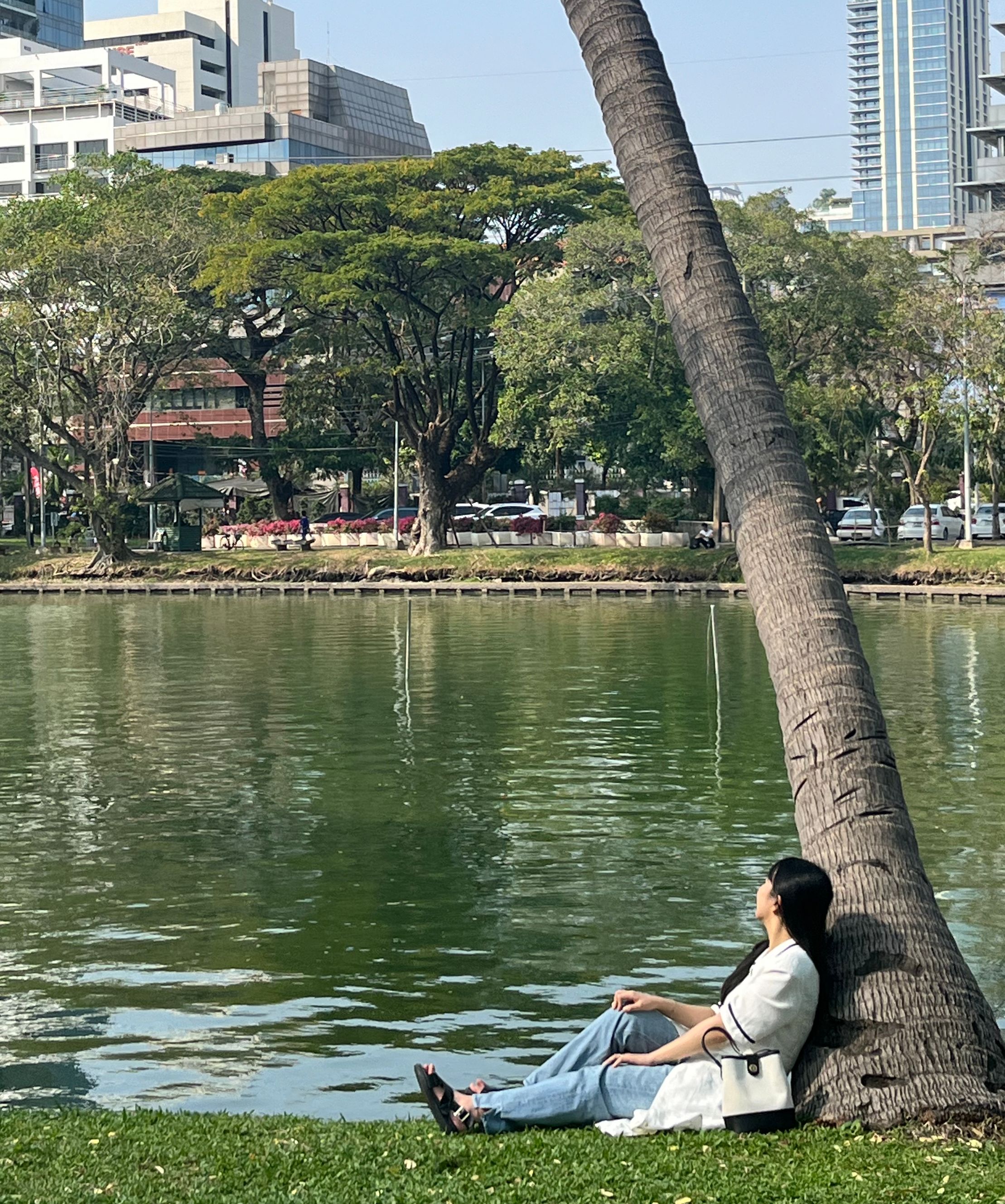 MUSINSA公式 | DEPOUND Town bag bucket shoulder [herringbone