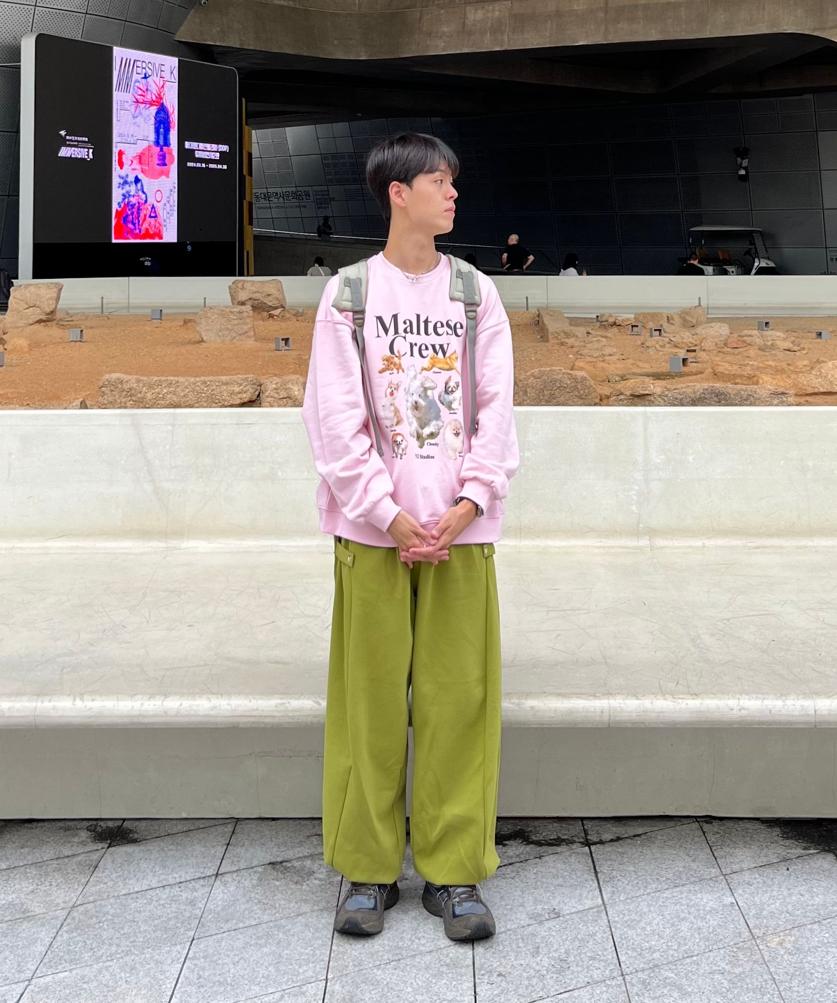 MUSINSA | WAI KEI Maltese Crew Sweatshirt Gray