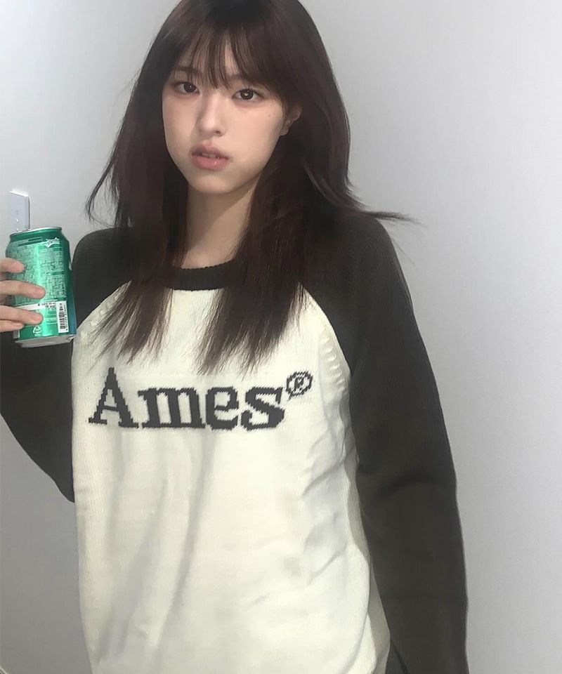 ★AMES-WORLDWIDE★BASIC RAGLAN PULLOVER KNIT BLUE★正規品 AMES-WORLDWIDE