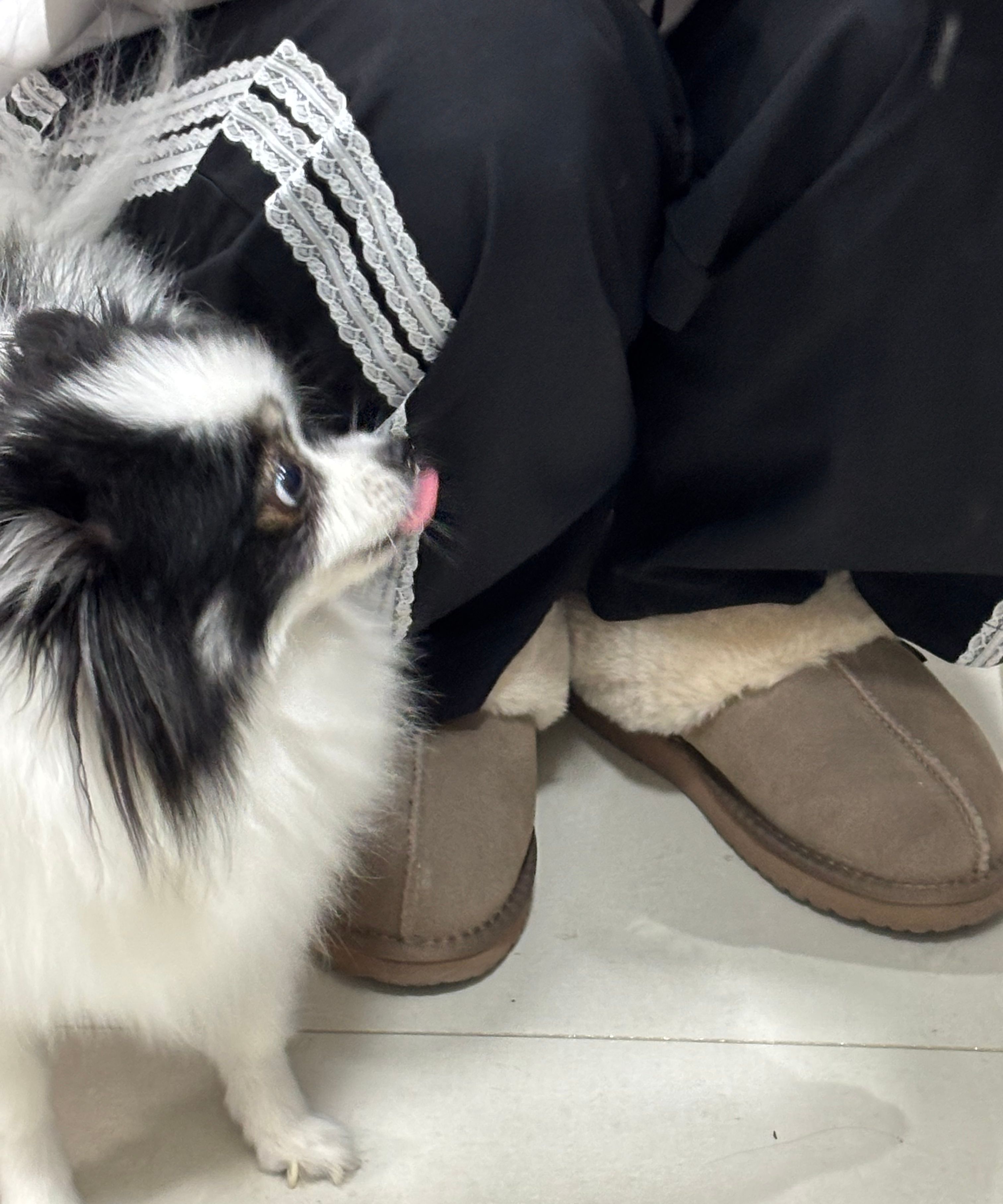 MUSINSA | ROCKFISH WEATHERWEAR ORIGINAL WINTER FUR MULES - 9