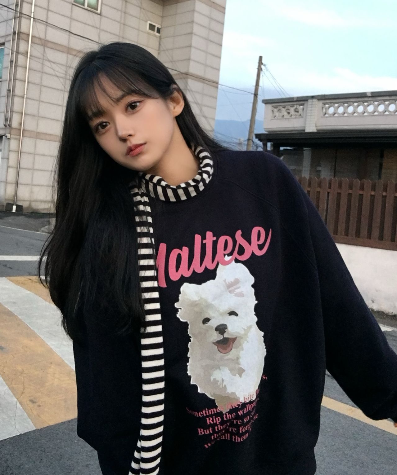 【Wai Kei】 Maltese Cloud Raglan Sweatshirt /追跡付 MUSINSA | WAI KEI Maltese Cloud Raglan Man to Man Black