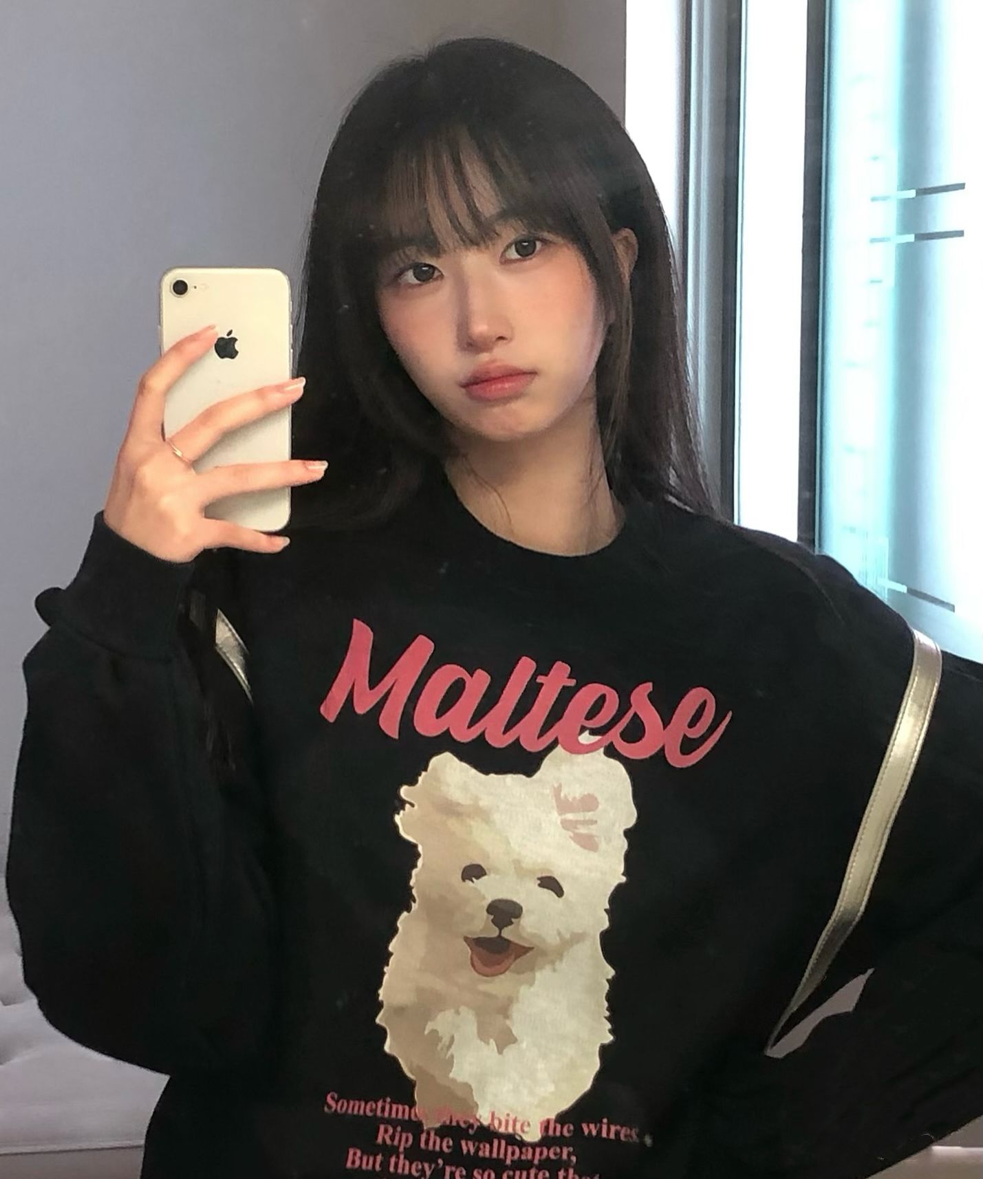 ★ Wai Kei★ Maltese Cloud Raglan Man to Man Navy YKBE01TS0 MUSINSA | WAI KEI Maltese Cloud Raglan Man to Man Navy