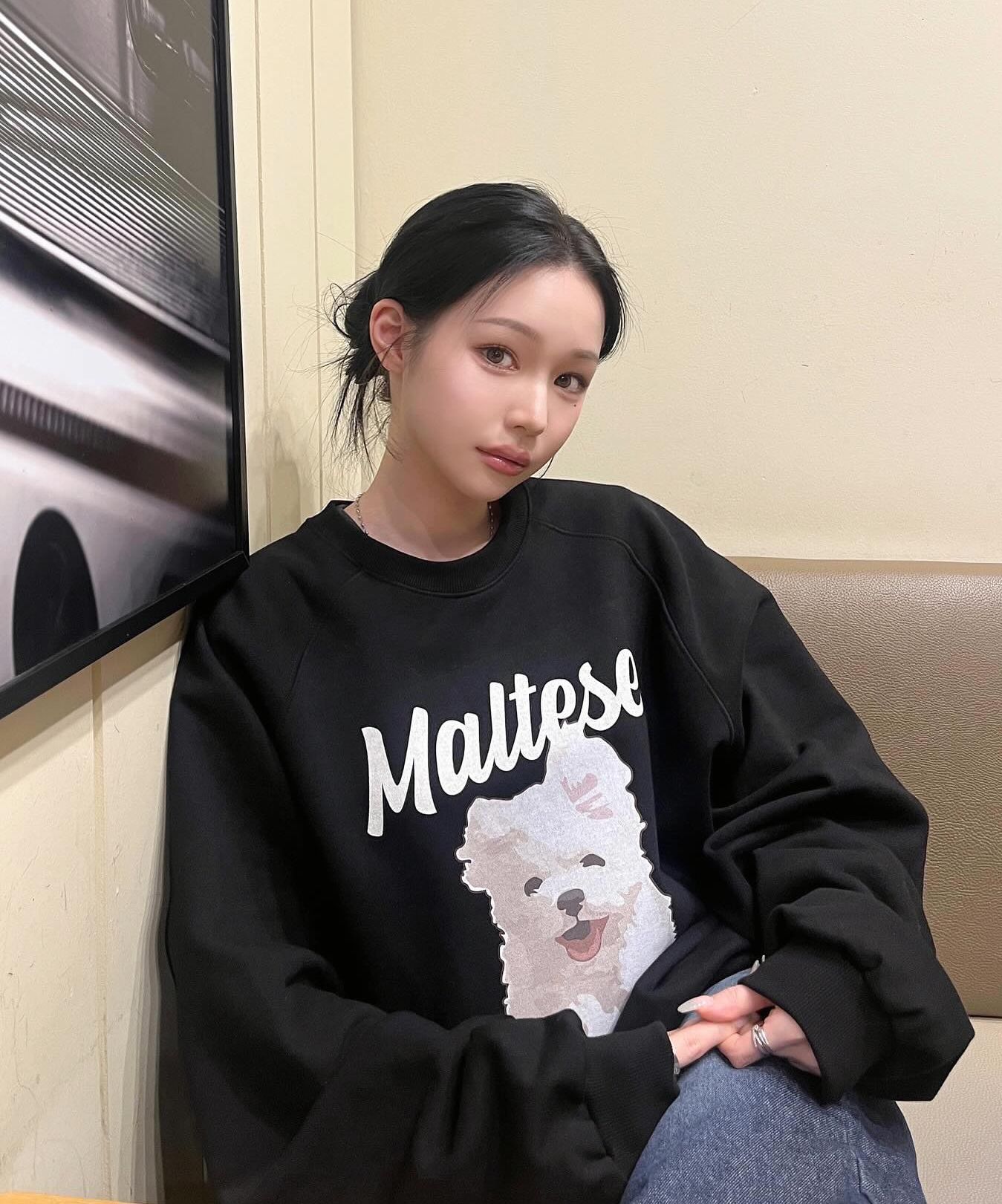 ★ Wai Kei★ Maltese Cloud Raglan Man to Man Navy YKBE01TS0 MUSINSA | WAI KEI Maltese Cloud Raglan Man to Man Navy
