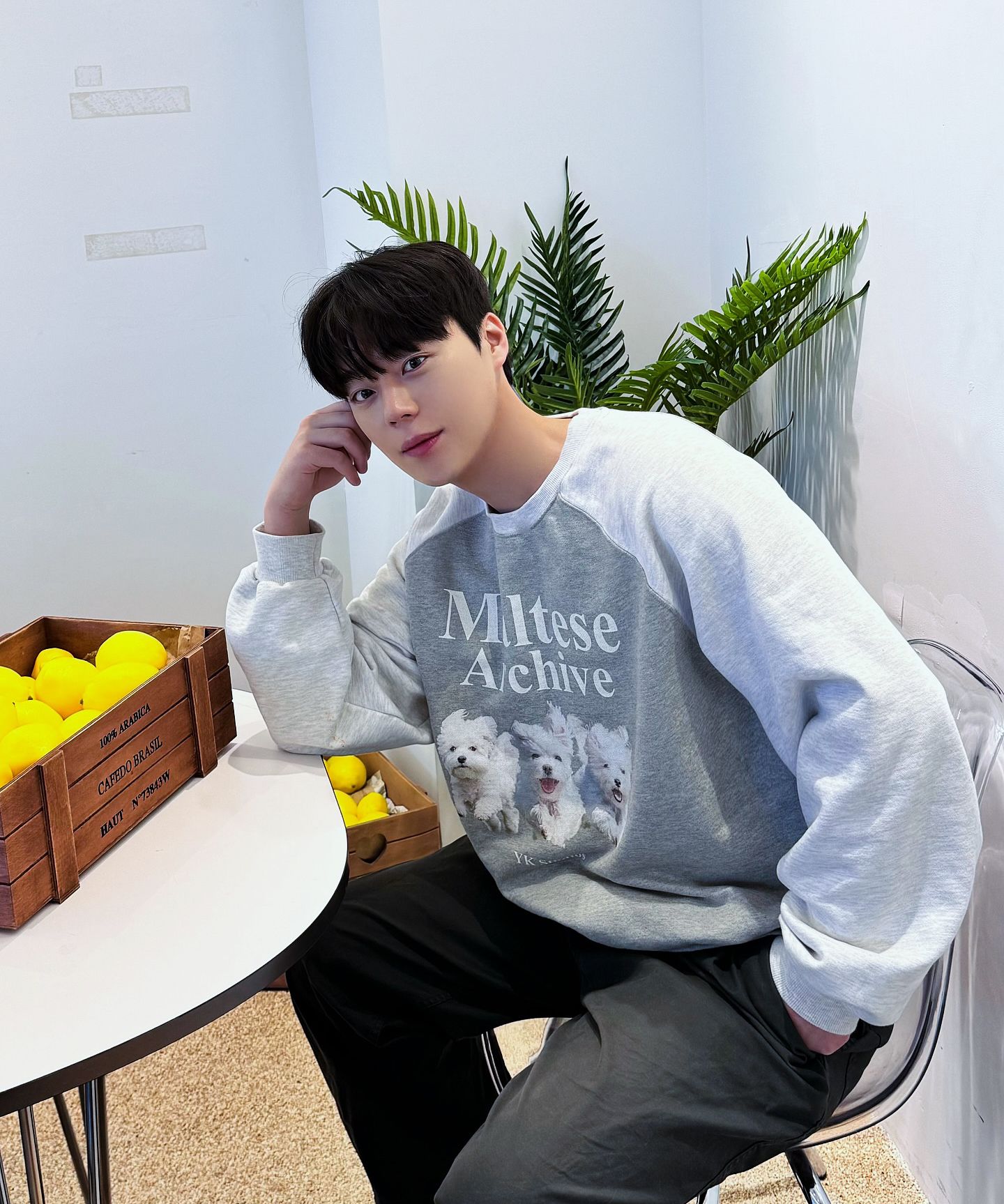 MUSINSA | WAI KEI Maltese Archive Raglan Man to Man Black