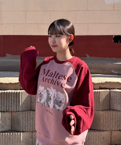 MUSINSA | WAI KEI Maltese Archive Raglan Man to Man Melange