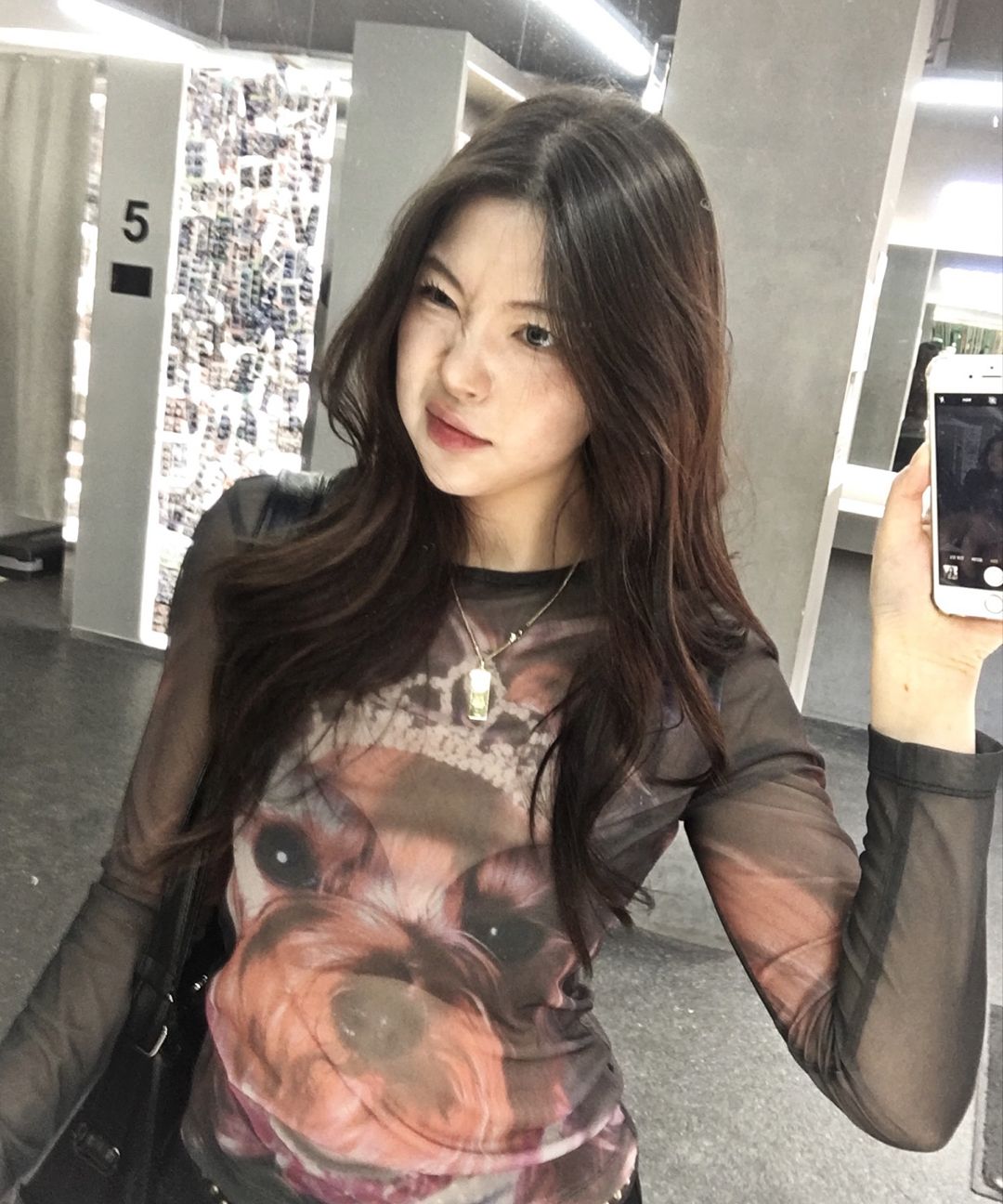 MUSINSA | LMC WM PRINTED MESH LONG SLV TEE pink