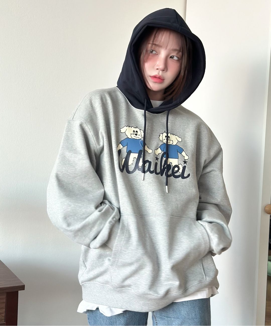 ★ Wai Kei★ Maltese Color Block Hoodie Gray YKBE01TS08-2 Maltese Colorblock Hoody - WaiKei | 60% - Asian Fashion