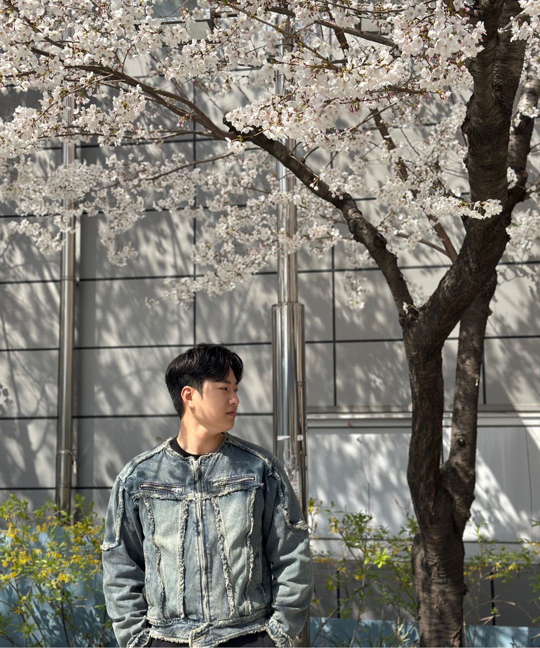 NOT4NERD ■ Cut Off Non-Collar Denim Jacket MUSINSA | NOT4NERD Cut Off Non-Collar Denim Jacket - Deep Blue