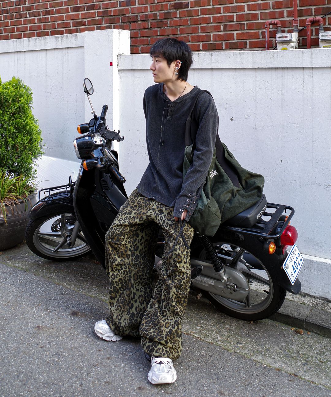 MUSINSA | AAKAM Knee Pin-tuck Leopard Cotton Pants (Khaki)