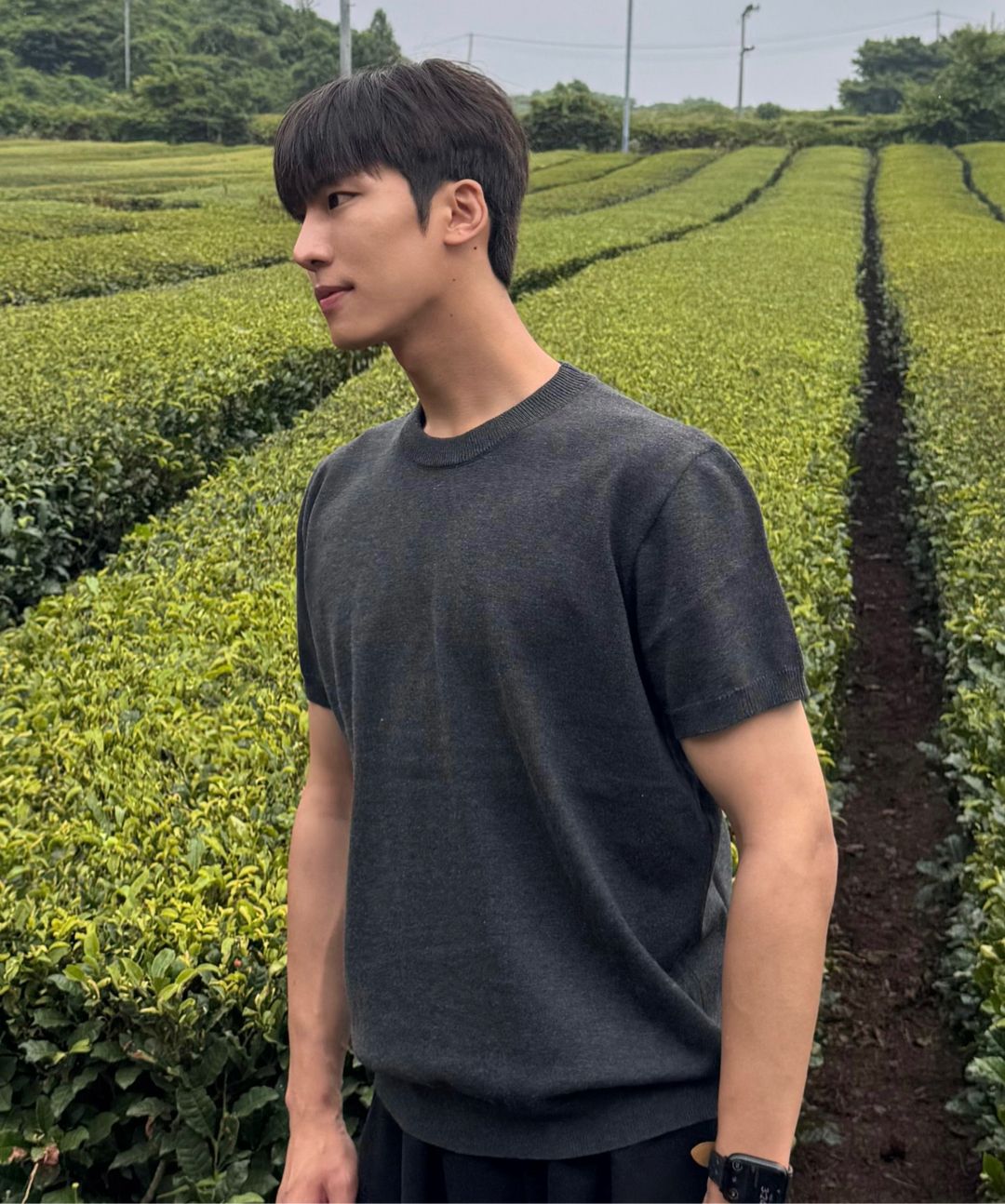 스타일 이미지