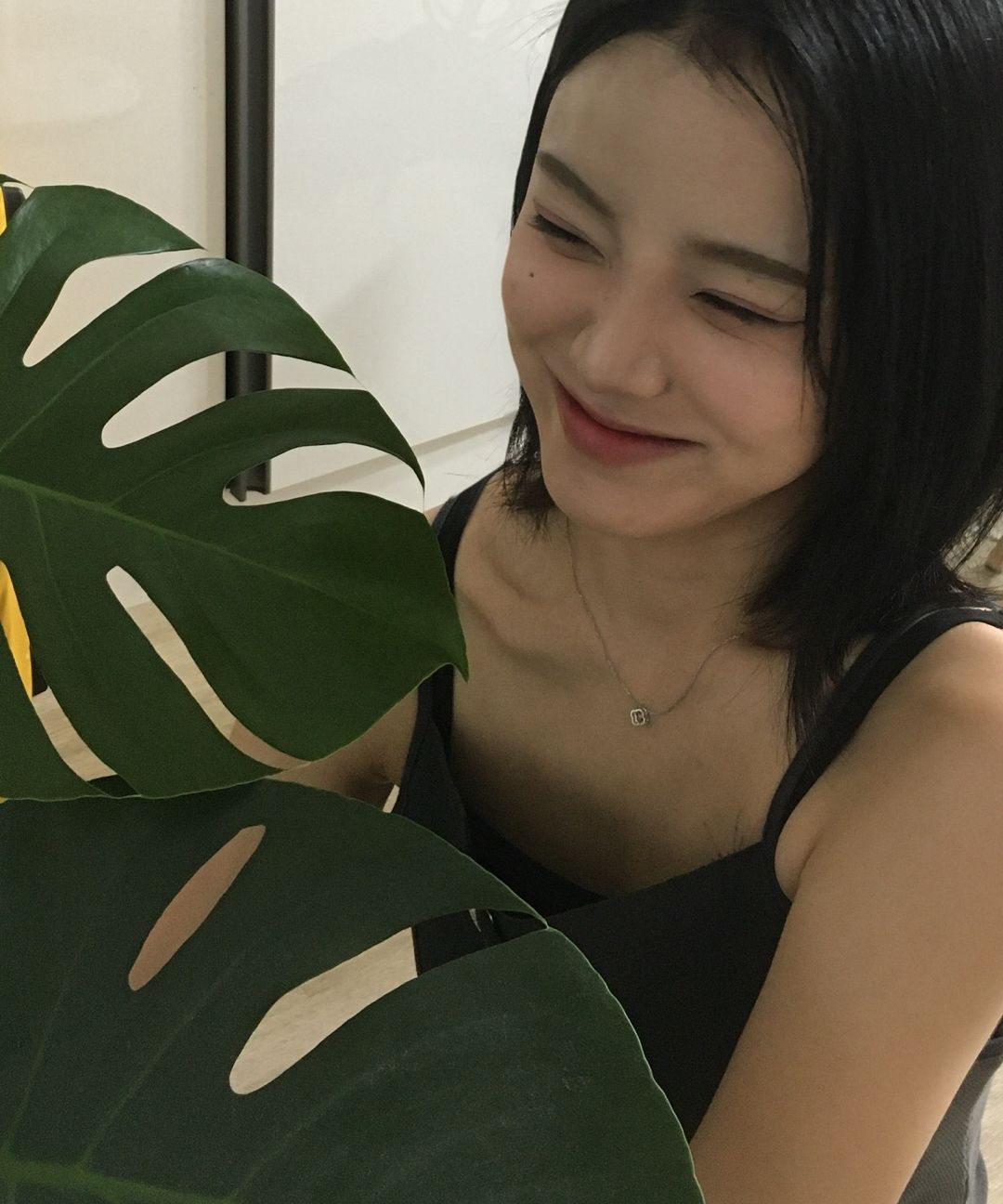 스타일 이미지