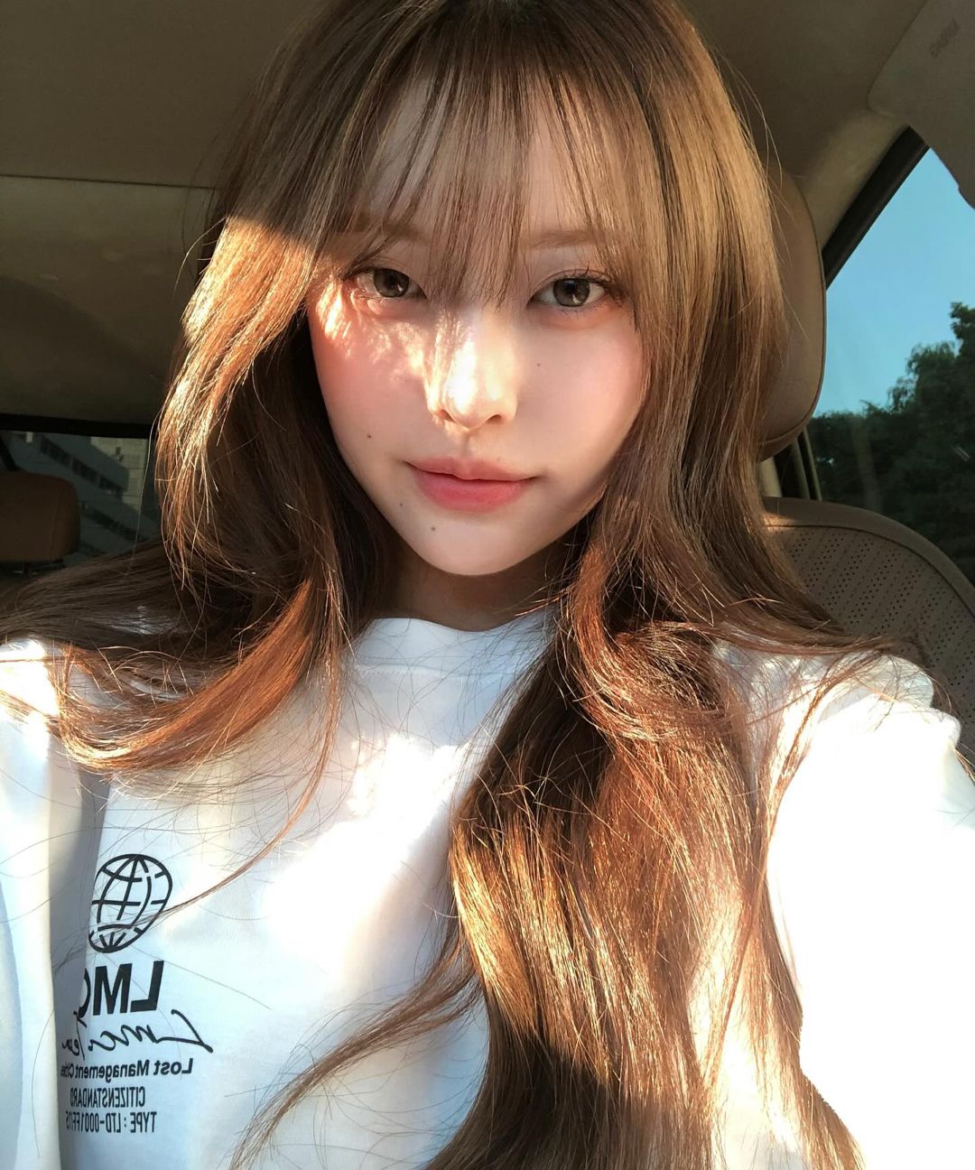 스타일 이미지