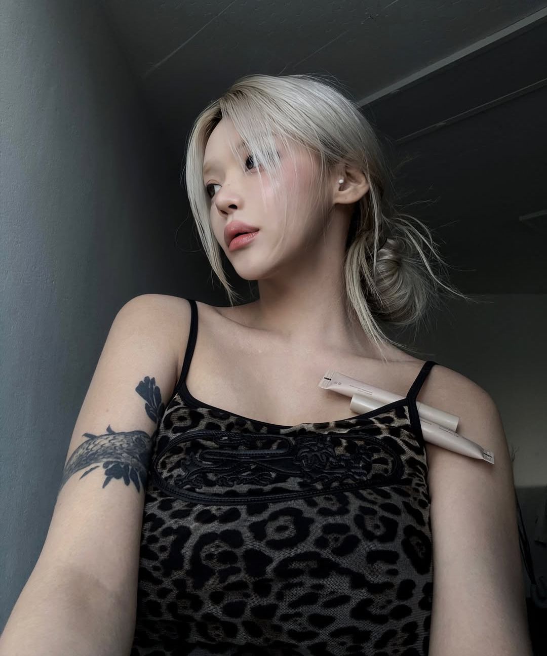 스타일 이미지