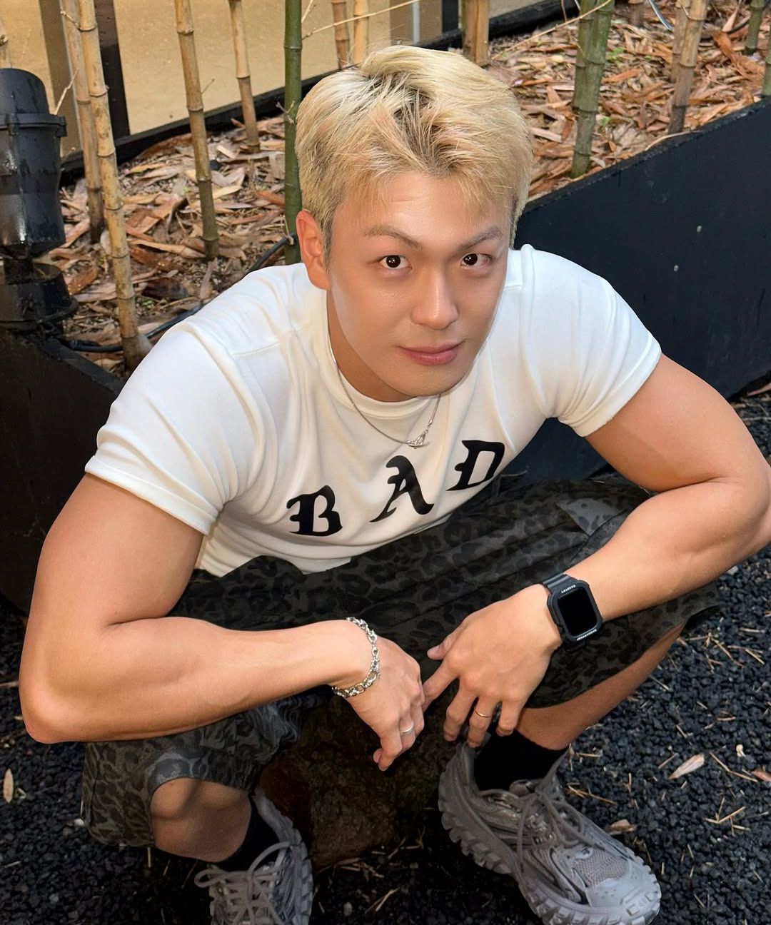 스타일 이미지
