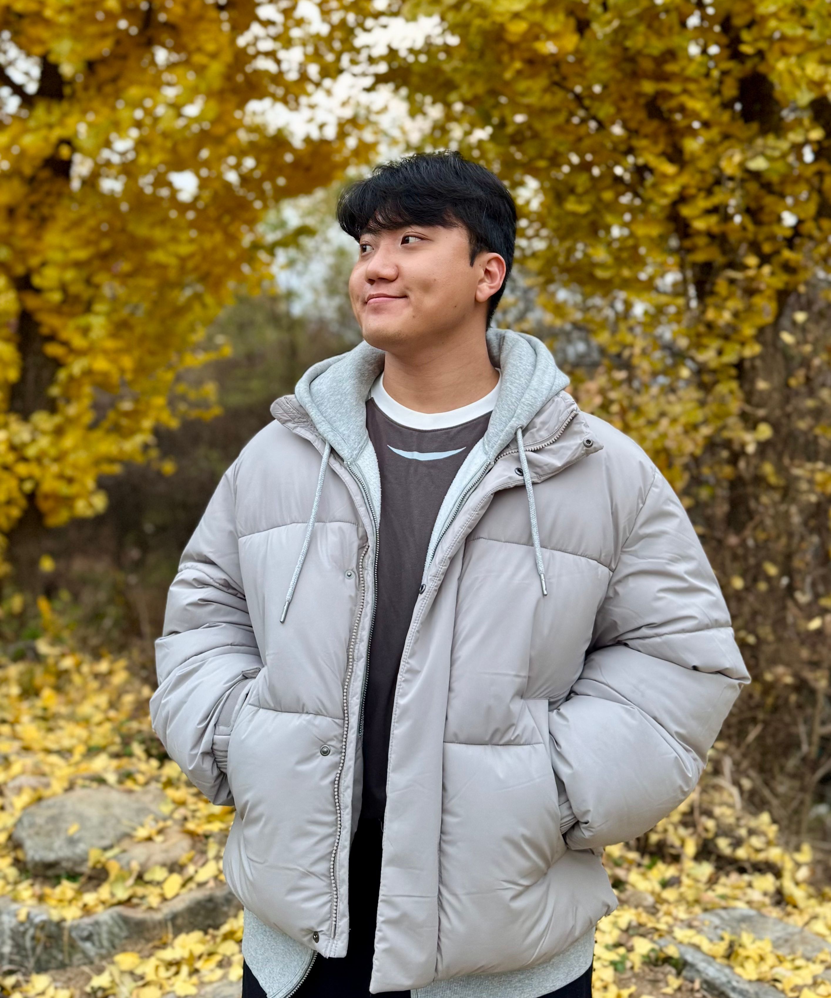 MUSINSA公式 | MUSINSA STANDARD Daily puffer short padded jacket