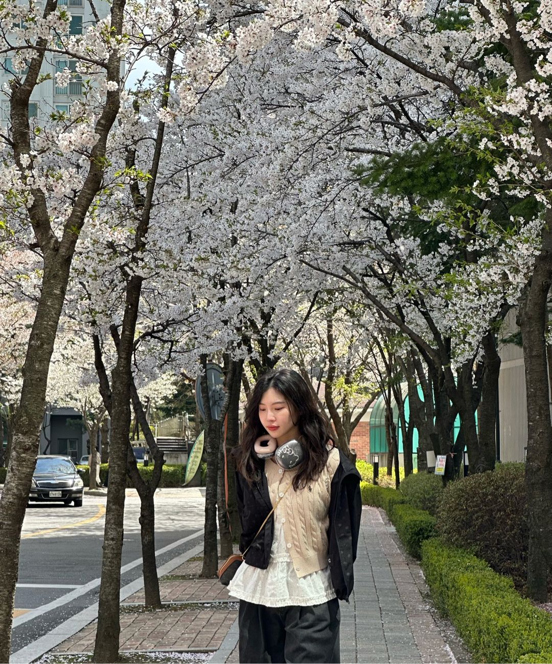 MUSINSA公式 | MUSINSA STANDARD WOMAN ウィメンズポルカドット
